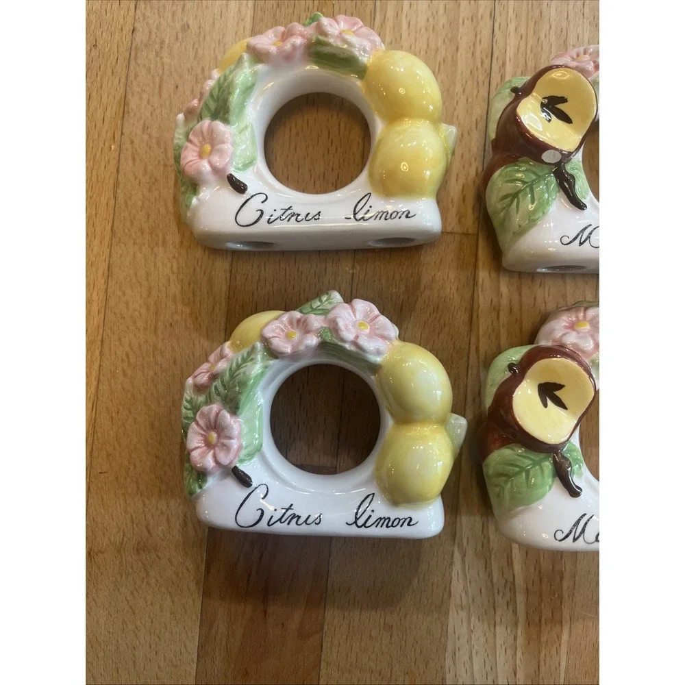 Villeroy & Boch Napkin Rings French Garden Set Of 8 Vintage Table Decor Tea